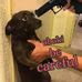 Daniel Laebi - Facebook