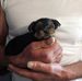Daniel Lacaille - Facebook