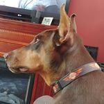 Daniel Lacasse - @daniel.lacasse.58 - Instagram