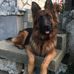 Danijel Ledinski - Facebook