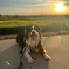 Daniel lacko - @daniellacko2 - TikTok
