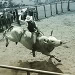 daniel ladeira pereira CCB - @daniel_ladeira_pereira - Instagram