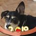 Daniel Ladenthin - Facebook