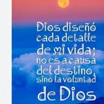Daniel Ladino - @daniel_ladino_012 - Instagram