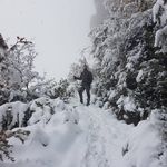 Daniel Lafarga Muñoz - @daniel_lafarga - Instagram
