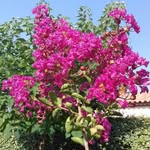 Daniel Lafitte - @daniel.lafitte30 - Instagram
