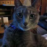 Daniel Laforest - @lafdan - Instagram