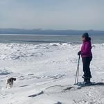 Daniel Laforest - @laforest.daniel - Instagram