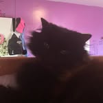 Daniella Hey - @daniella.hey - Instagram