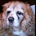 Daniel Lambrecht - Facebook