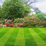 Daniel Nudelman | Justin Nguyen | Adam landsman - @dj.landscaping - Instagram