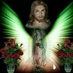Daniel Laneri - @daniel.laneri.98 - Instagram