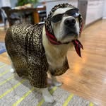Daniel Langdon - @danieljlangdon - Instagram
