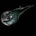 Daniel Langenfeld - Facebook