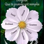 Danièle Langhoff - @danielelanghoff - Instagram