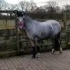 Daniel - @daniel_langley - TikTok