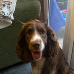 Daniel Langley - @daniellangley67 - Instagram