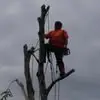 Daniel Langley - @daniel.langley81 - TikTok
