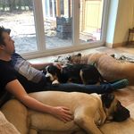 Daniel Langley - @daniel.langley.779 - Instagram