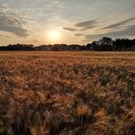 Daniel Langner - @daniel_langner_ - Instagram