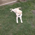 Daniel lanik - @lanik.daniel - Instagram