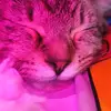 Daniel Blanton - @daniel.blanton5 - TikTok
