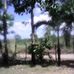 Daniel Village Lanton Brgy.apopong - Facebook