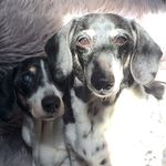 Daniel Lantz - @daniel.lantz.798 - Instagram