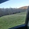 Daniel lanza - @daniel.lanza4 - TikTok