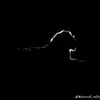 Daniel Lanza - @daniel.lanza18 - TikTok