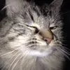Daniela_O - @daniela_o - TikTok