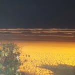 Daniel La Porta - @laporta7472 - Instagram