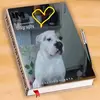 Danielle La Porta - @daniellelaporta - TikTok