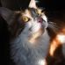 Daniel Lareau - Facebook