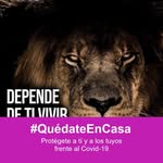 Daniel Laredo - @laredo_leon - Instagram
