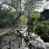 Daniel Larios - @daniel.larios7 - TikTok