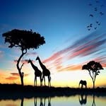 Daniel Larock - @dj11111111111 - Instagram