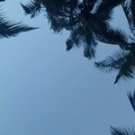 Daniel Laryea - @daniel.laryea3 - Instagram