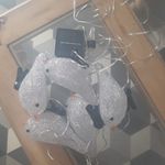 Daniel Lasalle - @daniel.lasalle.77 - Instagram