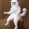 daniel_lawler_95 - @daniel_lawler_95 - TikTok