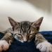 Daniel Laymance - Facebook