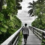 daniel lazarre - @dlazarre - Instagram