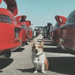 Daniel Lazer - @daniel_lazer_dc - Instagram