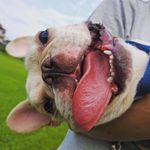 @daniel_is_lazier - Instagram