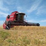 Daniel Lazzari - @daniel_lazzari12 - Instagram