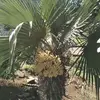 Daniel Lazzari - @daniel.lazzari3 - TikTok