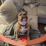 Daniel Leader - @dleader33 - Instagram