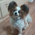 Daniel_LEADER_klombytch - @daniel_leader_klombytch - Instagram