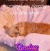 Daniel Lebert - Facebook