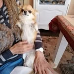 Daniel Lebled - @dlebled - Instagram